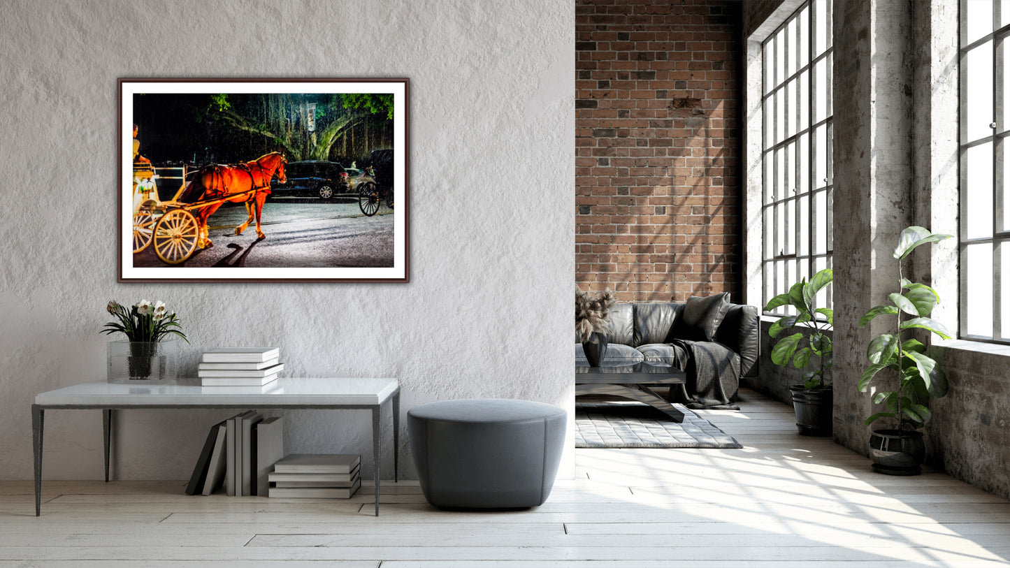 Horse and carraige, St Petersburg