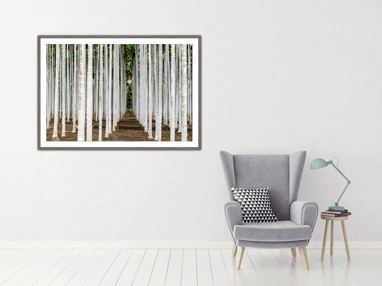 South Indian Areca trees