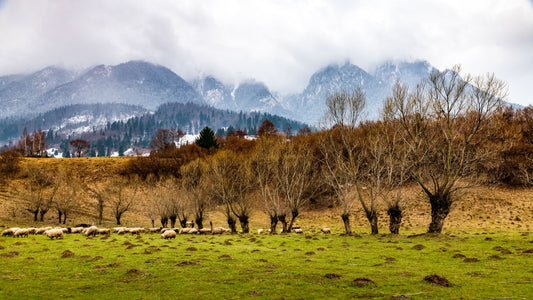 Carpathian Mountains, Romania